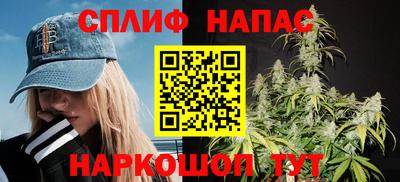 гидра Бузулук