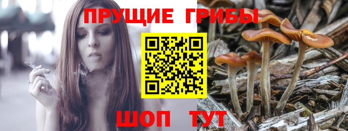 Галлюциногенные грибы Cubensis  Вход с VPN  Нурлат  продажа наркотиков  Псилоцибиновые грибы мухоморы 