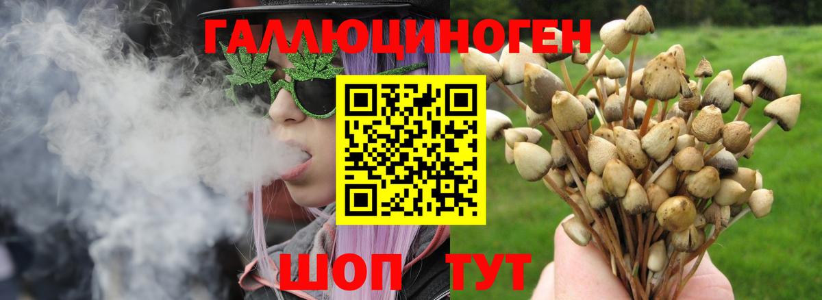 Галлюциногенные грибы ЛСД Нурлат